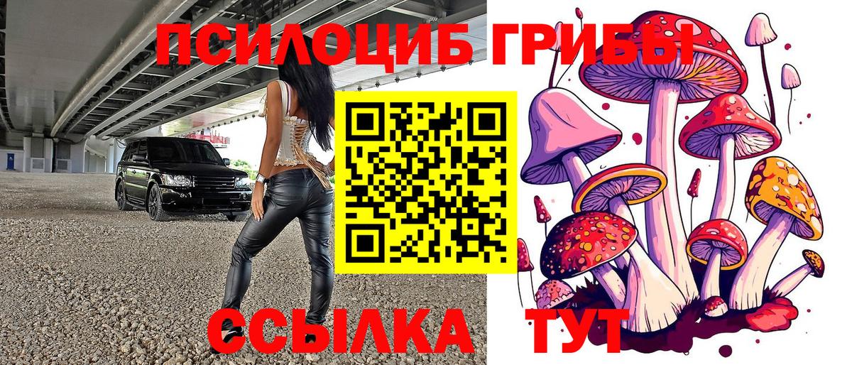 Псилоцибиновые грибы Cubensis Ефремов